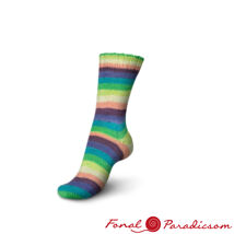 Regia 6- szálas Color 150 g  6 szálas zokni fonalcsalád