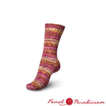 Regia 8- szálas  color 150 g 8 szálas zokni fonalcsalád