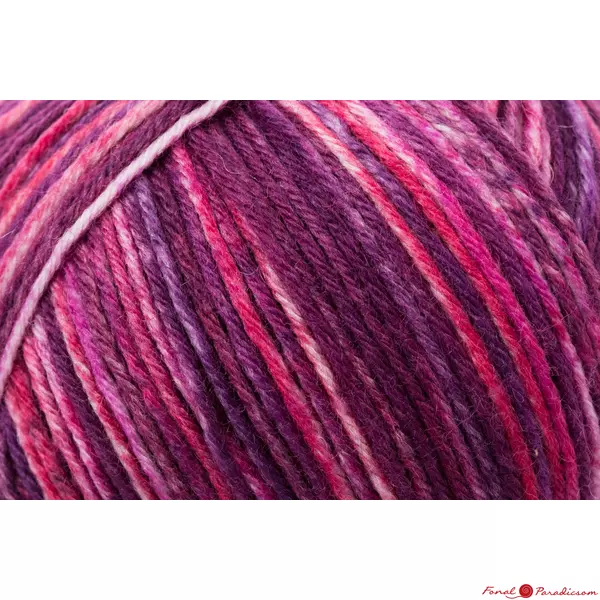 Regia 6- szálas Color burgundi 150 g 04911